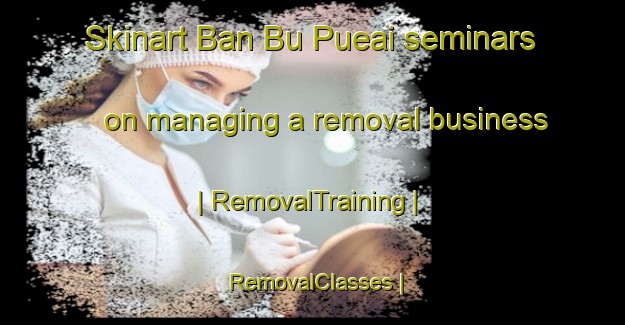 Skinart Ban Bu Pueai seminars on managing a removal business | RemovalTraining | RemovalClasses | SkinartTraining-Thailand